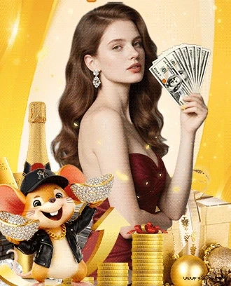 Pg365 App Versões